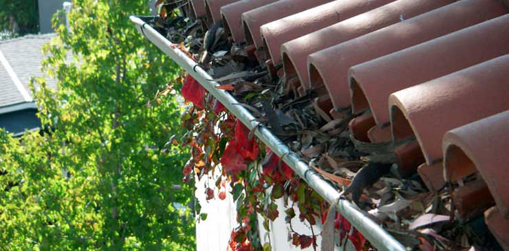 Gutter Cleaning in London